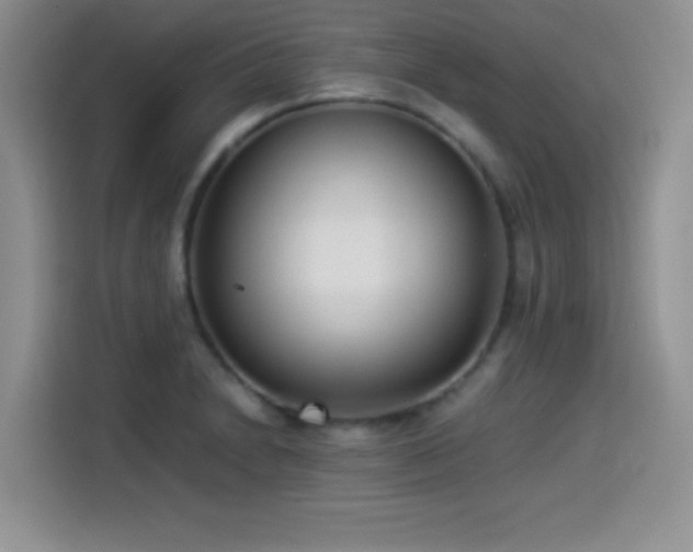 X0000114501230200910191244