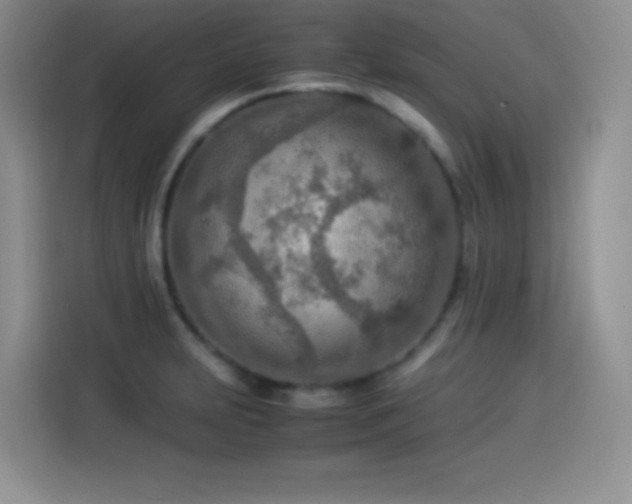 X0000114501231200910191244