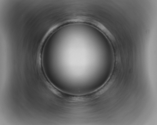 X0000114501232200910191244
