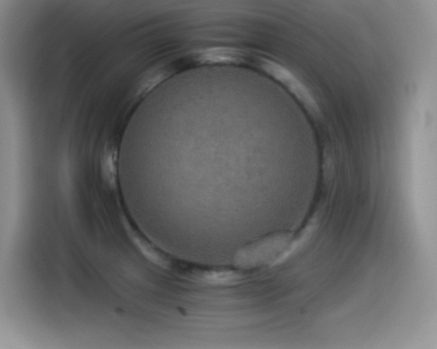 X0000114501233200910191244