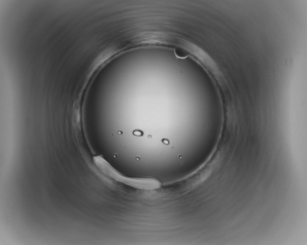 X0000114501234200910191244