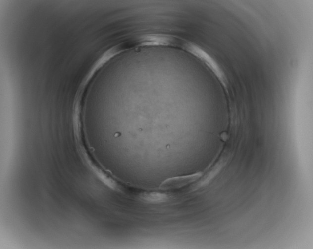 X0000114501235200910191244