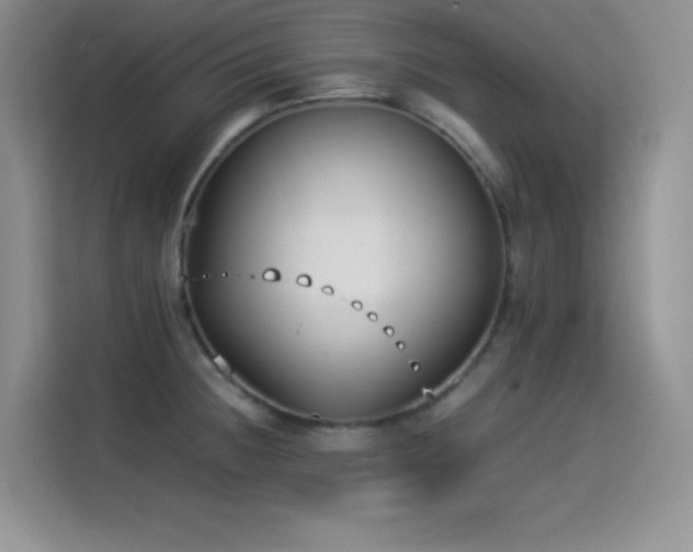 X0000114501236200910191244
