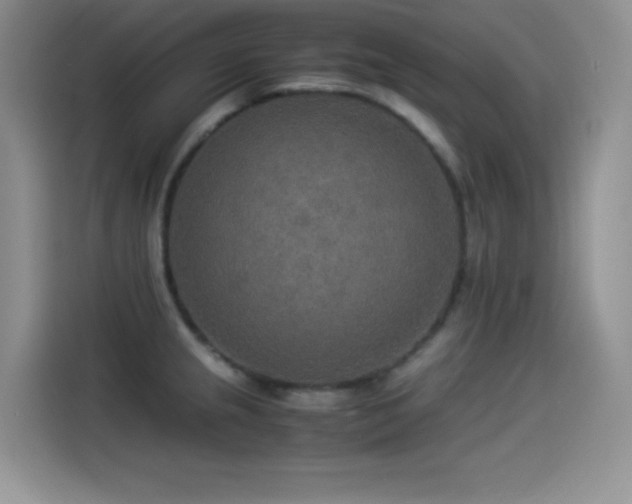 X0000114501237200910191244