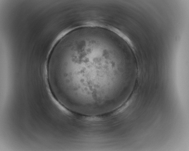 X0000114501239200910191244