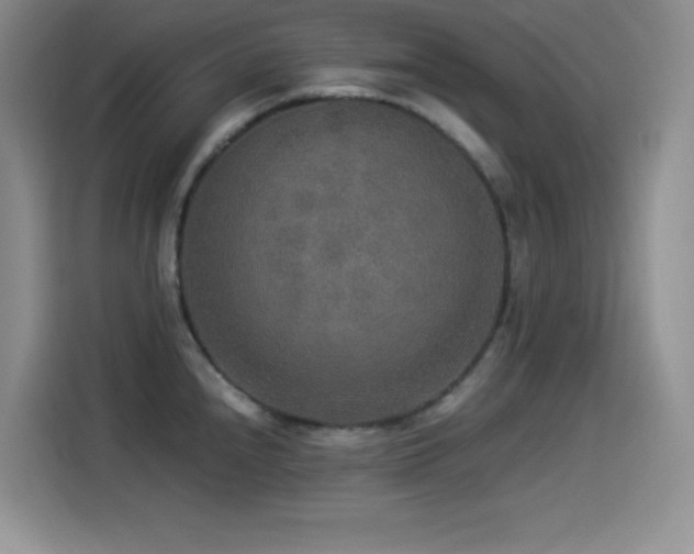 X0000114501240200910191244
