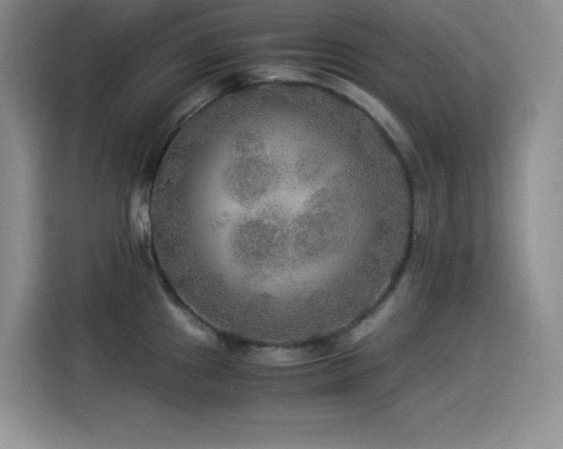 X0000114501241200910191244