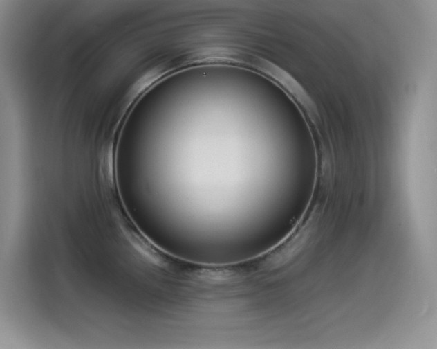 X0000114501242200910191244