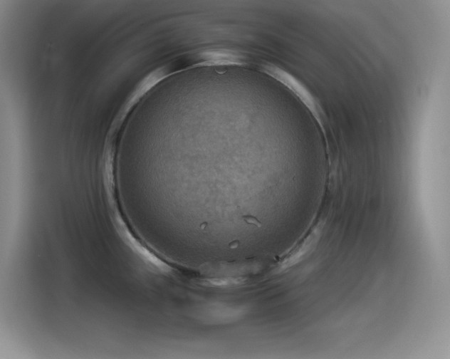 X0000114501243200910191244