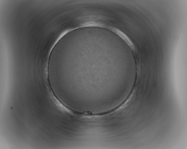 X0000114501244200910191244