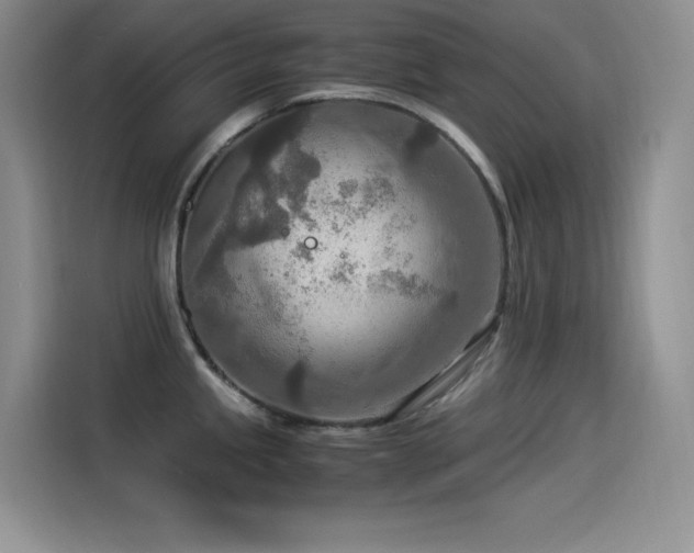 X0000114501245200910191244