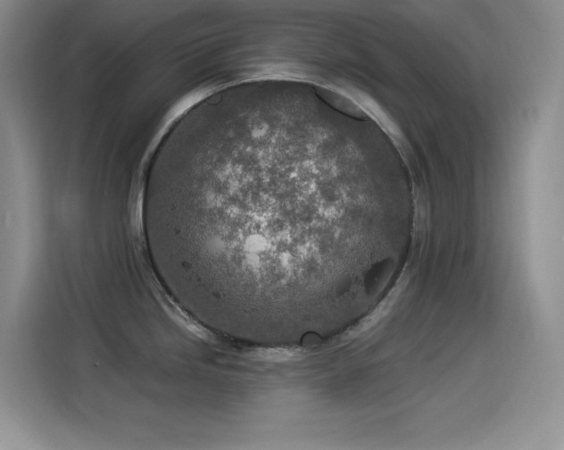 X0000114501246200910191244