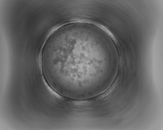 X0000114501247200910191244