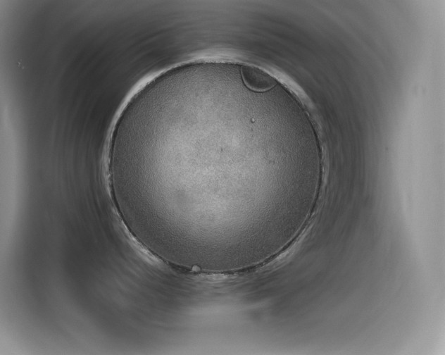 X0000114501248200910191244