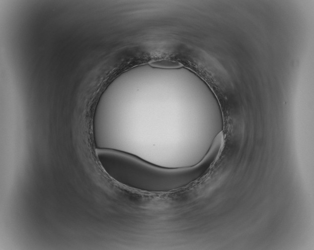 X0000114501249200910191244