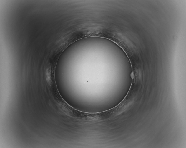 X0000114501250200910191244