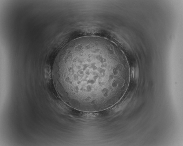 X0000114501251200910191244