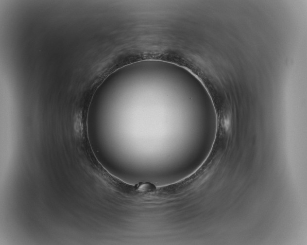 X0000114501252200910191244