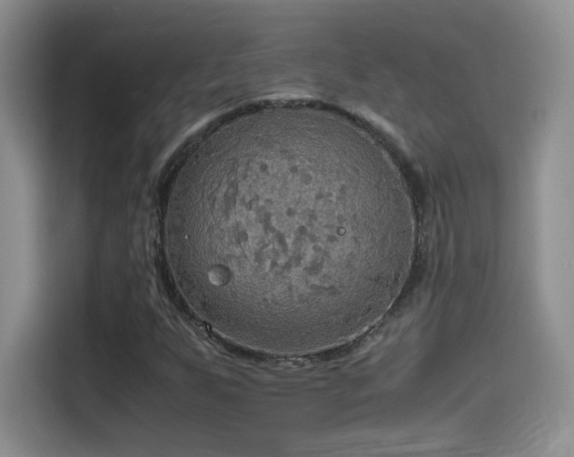 X0000114501255200910191244