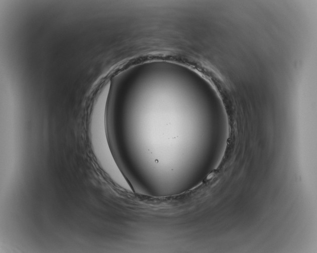 X0000114501256200910191244