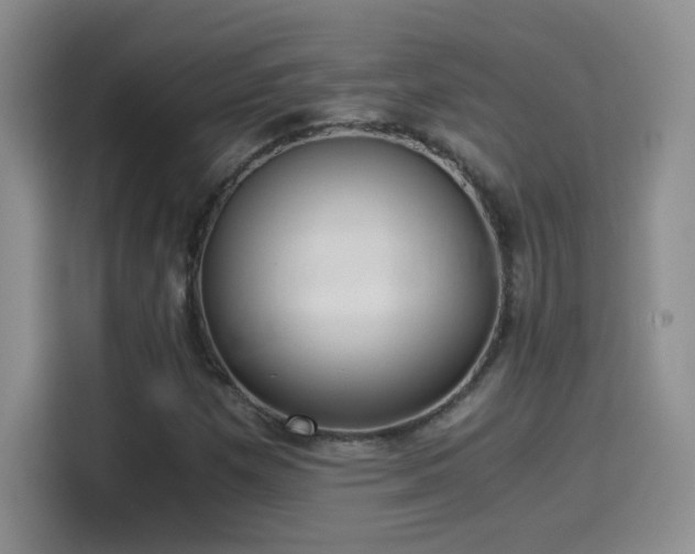 X0000114501257200910191244