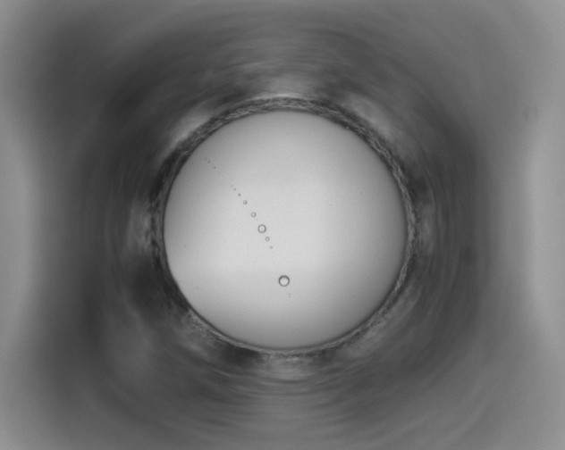 X0000114501258200910191244