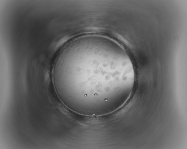 X0000114501259200910191244