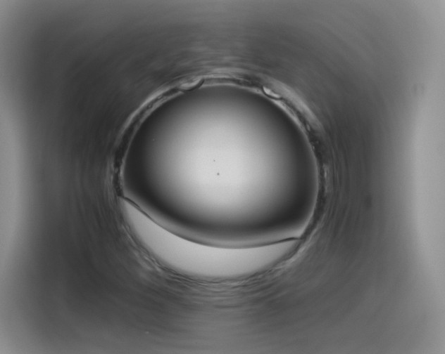 X0000114501260200910191244