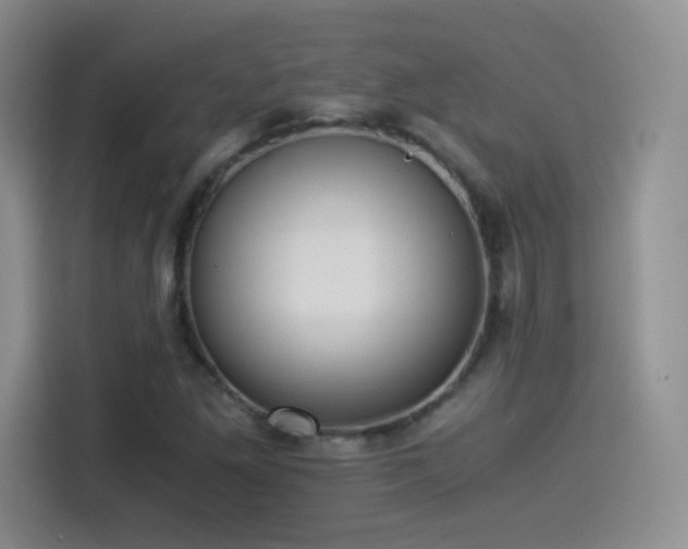 X0000114501261200910191244
