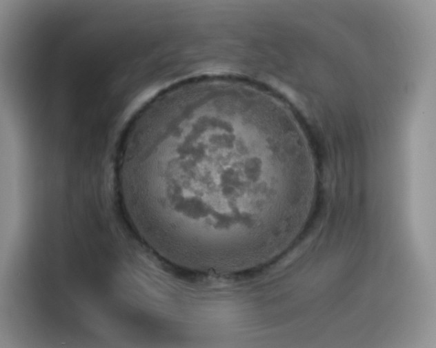 X0000114501263200910191244