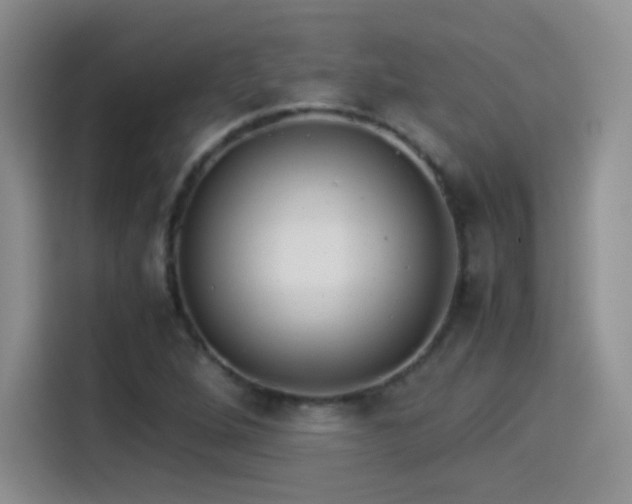 X0000114501264200910191244