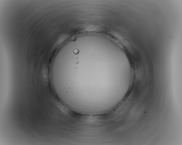 X0000114501266200910191244