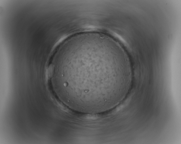X0000114501267200910191244