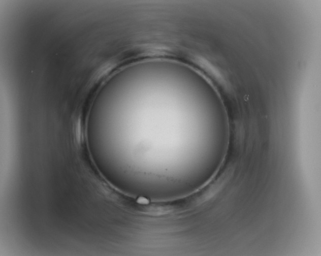 X0000114501269200910191244