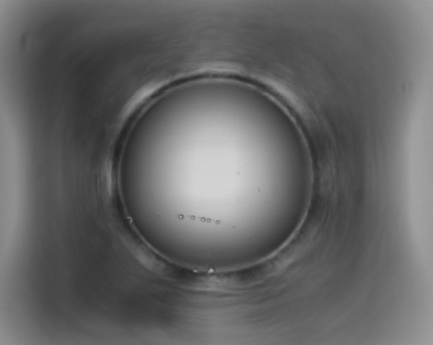 X0000114501271200910191244