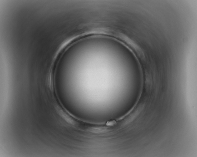X0000114501272200910191243