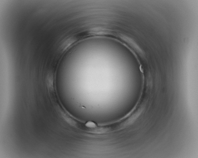 X0000114501273200910191243