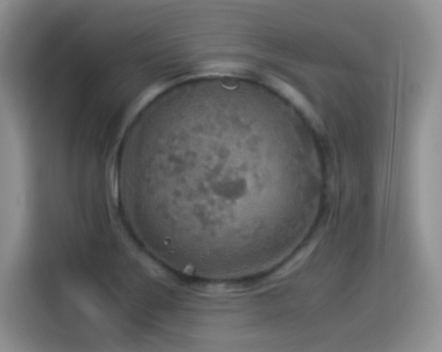 X0000114501275200910191243