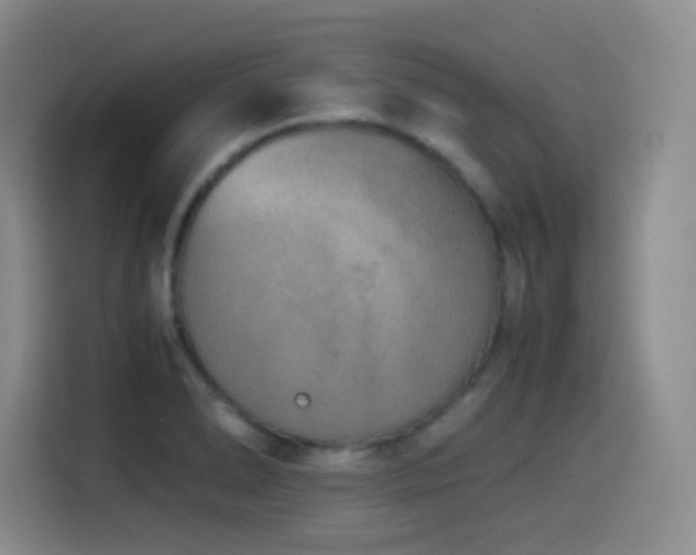 X0000114501278200910191243