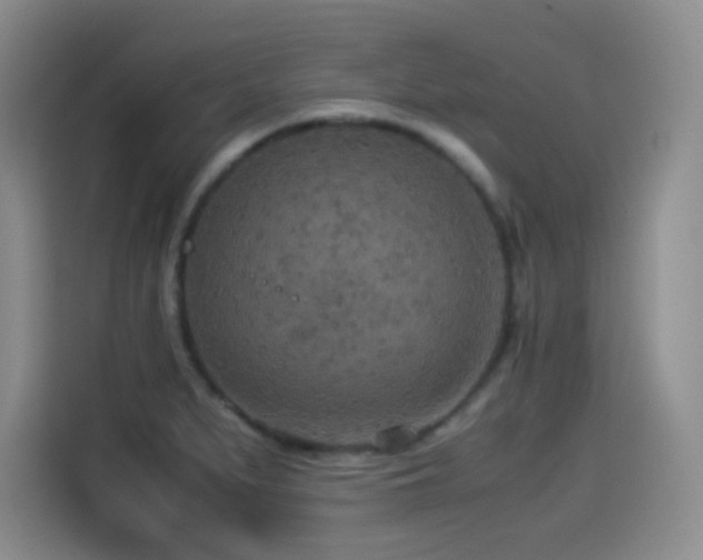 X0000114501279200910191243