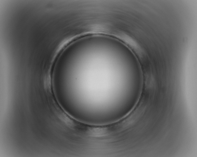 X0000114501280200910191243
