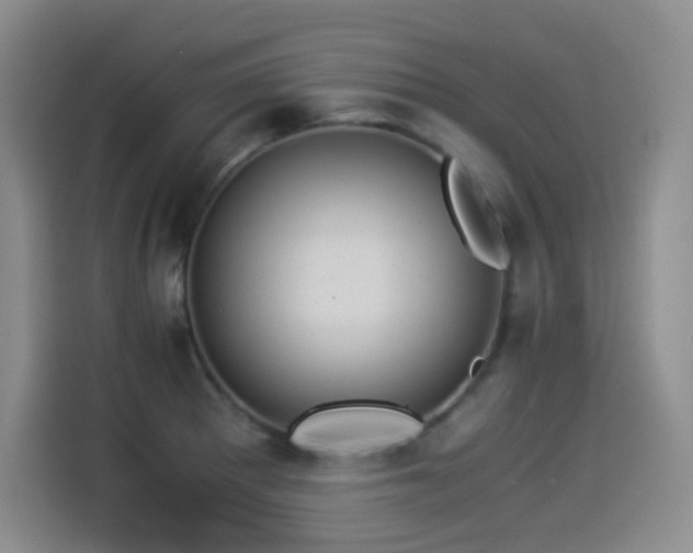 X0000114501281200910191243
