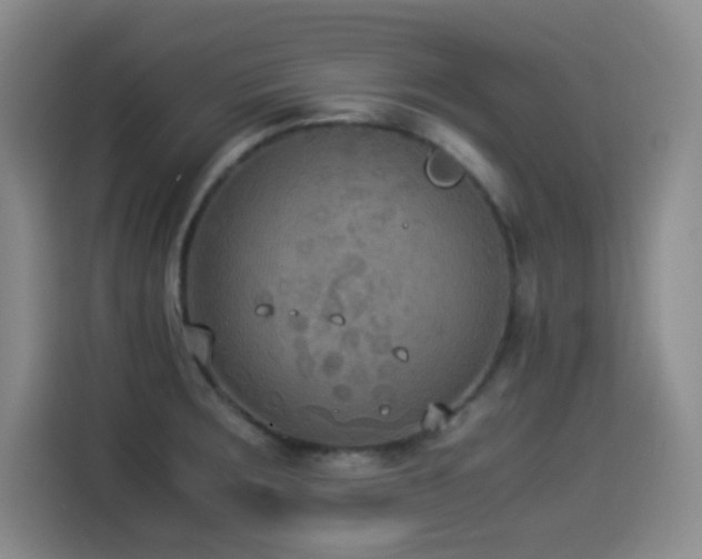 X0000114501283200910191243