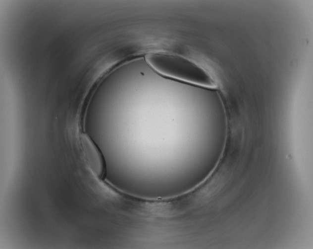 X0000114501285200910191243