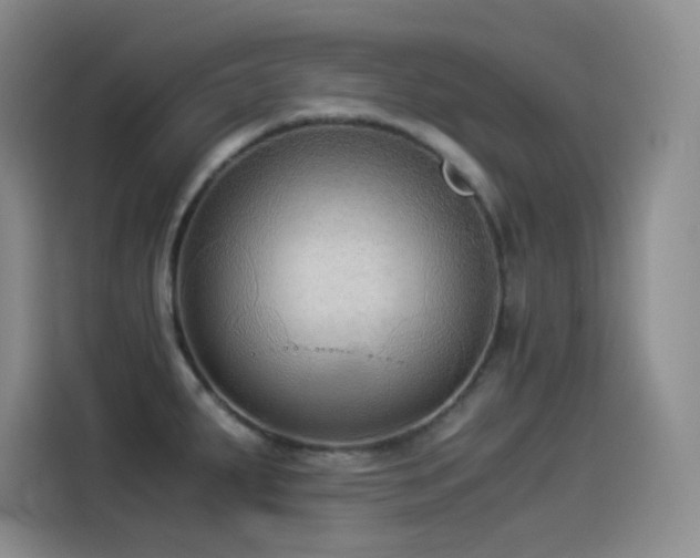 X0000114501287200910191243