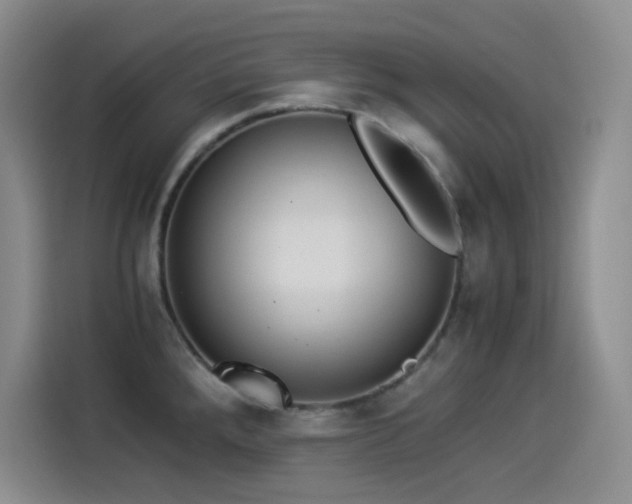 X0000114501288200910191243