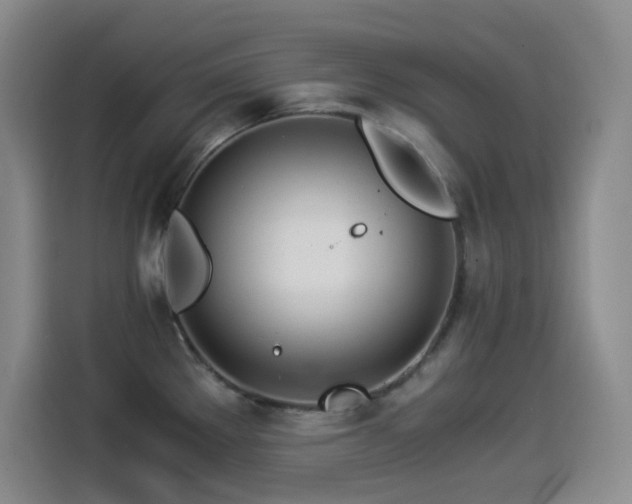 X0000114501289200910191243