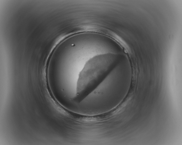 X0000114501291200910191243
