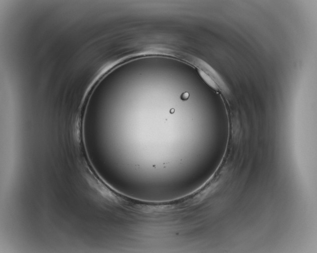 X0000114501292200910191243