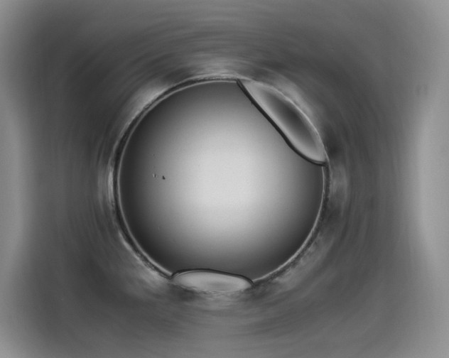 X0000114501293200910191243